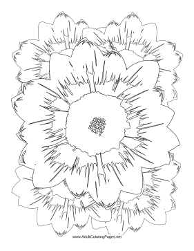 Flowering coloring page
