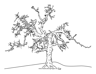 Gnarled coloring page