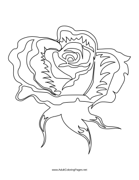 Blossom coloring page
