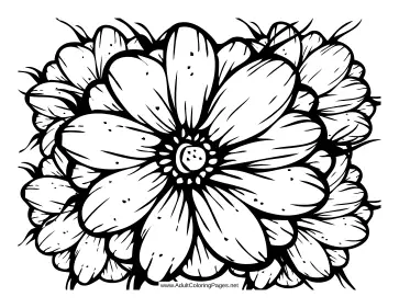 Bouquet coloring page