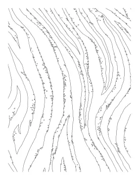 Branches coloring page