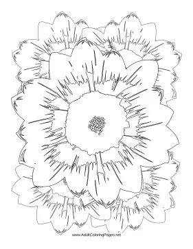 Flowering coloring page