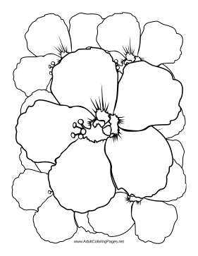 Petals coloring page