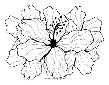 Stamen coloring page