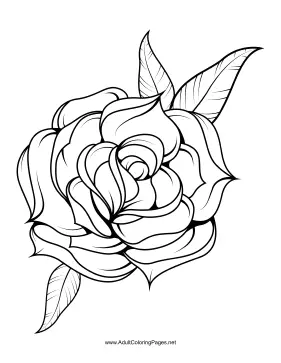 Unfold coloring page