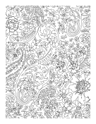 Paisley