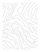 Maze