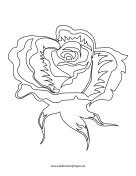 Blossom